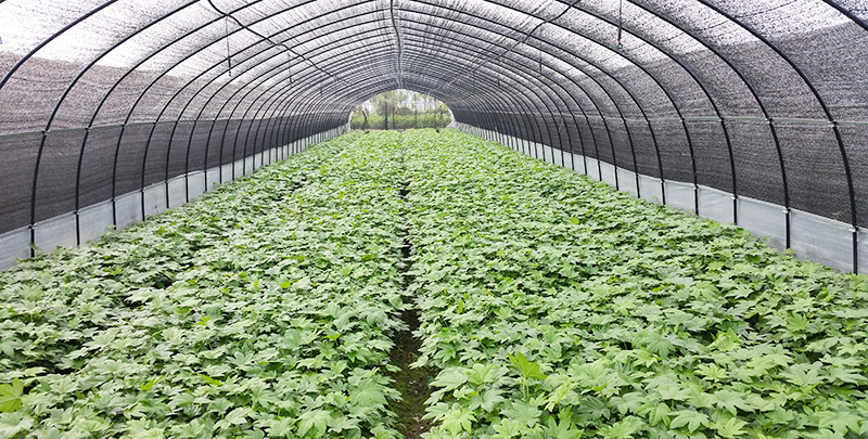 鸿运国际·(中国)集团-鸿运官网接待你