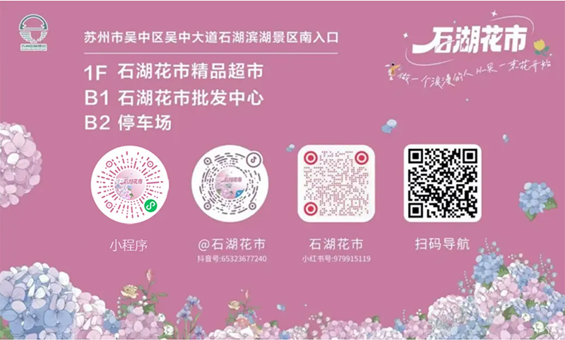 screencapture-mp-weixin-qq-s-UuhduBIXMYY-rHCBYaRh3g-2025-08-